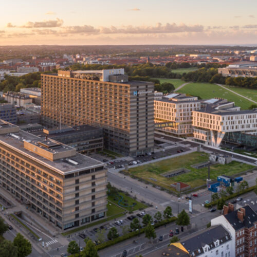Post. Doc. position at the Department of Inflammation Research - Rigshospitalet, Copenhagen